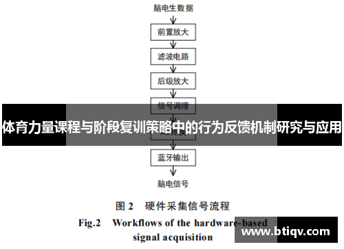 体育力量课程与阶段复训策略中的行为反馈机制研究与应用